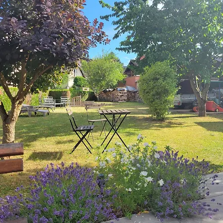 Проживание в семье Le Jardin