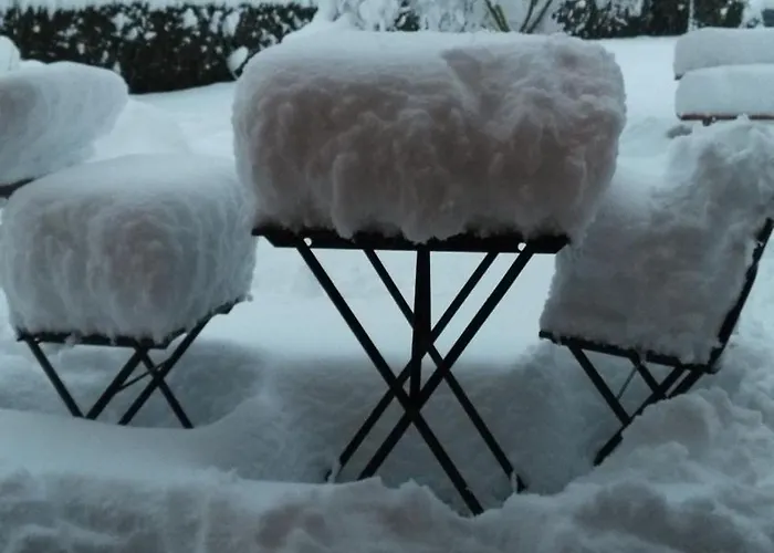 Homestay Le Jardin Griesbach-au-Val